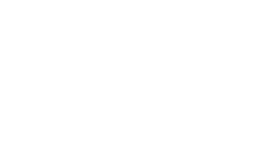 LOGO CR bianco_fronte